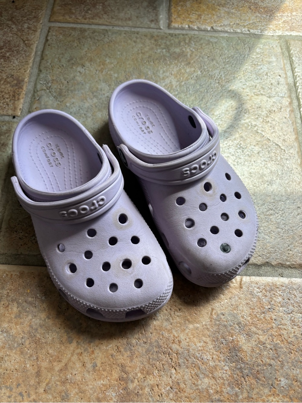 CROCS Kids Light Lavender Classic Clogs